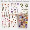 Pressed Flower Themed Stickers Assorted 486 Pieces, 36 Sheets (White, Red, Pink, Yellow, Orange, Purple, Blue, Green) 6.7 x 4.3 x 0.2 inches